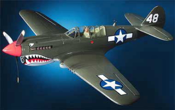 J[`X P-40N EH[z[N WRs@